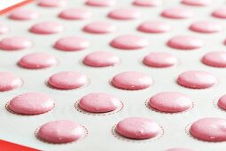 Pink macaroon dough pipped onto baking paper