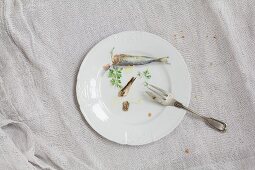 Sardines, oil and parsley on a white porcelain plate