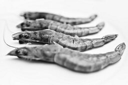 Four raw king prawns (black-and-white image)