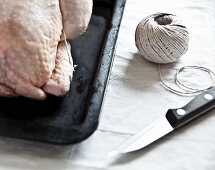 A ready-to-roast organic chicken with a knife and kitchen twine (detail)