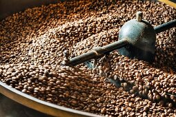 Coffee beans being roasted in a drum