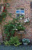Ferns and vintage planters against brick facade of former stable with original windows