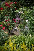 View of planter on garden chair against climber-covered house facade seen through rose arch