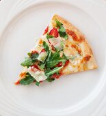 Ein Stück Pizza mit Tomaten, Käse und Rucola