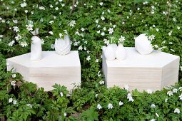 White ceramic vases on cut stone blocks surrounded by bed of wood anemones