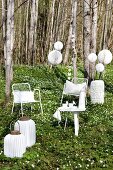 White wire chairs, side table and lanterns of various shapes in woodland clearing carpeted in wood anemones