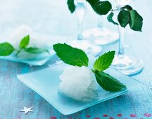 Refreshing peppermint sorbet with peppermint leaves