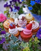 Verschiedene kleine Cupcakes mit Cremehauben