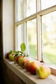 A row of fresh apples on a window sill