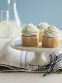 Vanilla cupcakes on a white cake stand