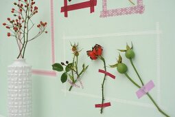 Picture frames made from washi tape around sprigs of rose hips on wall