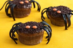 Chocolate spider cupcakes made with liquorice and chocolate beans for Halloween