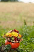 Autumnal flower arrangement in hollowed-out pumpkin outdoors