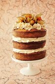 A maple syrup cake with physalis