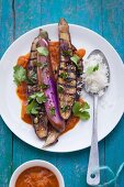 Grilled aubergines with spices butter and tikka masala