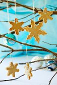 Cinnamon snowflakes biscuits on a twig