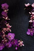 Purple orchids on black silk creating a frame