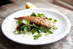 Geräuchertes Makrelenfilet mit Pfeffer auf Brunnenkresse-Rote Bete Salat mit Meerettich-Dressing