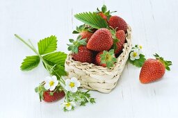 Erdbeeren mit Blättern und Blüten in kleinem Körbchen