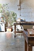 Workbench in front of green houseplants against whitewashed brick wall in rustic carpenter's workshop