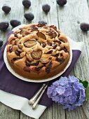 Sponge cake with plums and marzipan