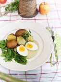 New potatoes with green sauce and egg
