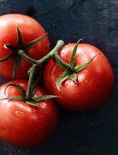 Tomatoes on the vine