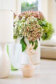 Vases, hydrangeas and ladle with handle in shape of stylised moose head arranged on windowsill