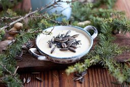 Bowl filled with fat, sunflower seeds & sesame for feeding birds