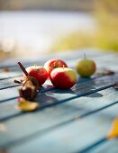 Apples on a wooden table in a garden