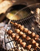Grilled venison skewers for an autumnal picnic