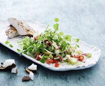 A shoots salad with coconut and chicken breast