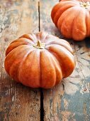 Two Muscade de Provence squashes