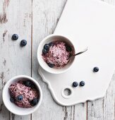 Frozen blueberry yoghurt (low carb)