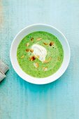 Broccoli soup with goat's cream cheese and roasted, slivered almonds