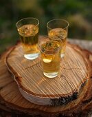 Apple juice garnished with spruce tips