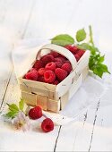 Raspberries in a wooden basket on a cloth