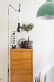 Improvised retro pendant lamp above small potted olive tree on old filing cabinet with roller shutter door against white wooden wall