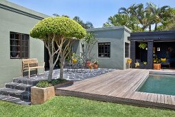 Sommerstimmung im Garten, Terrasse mit Natursteinbelag und Pool vor Bungalow, im Hintergrund Palmenwald