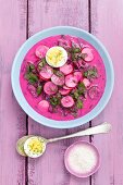 Beetroot soup with mascarpone, radishes and egg
