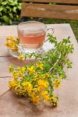 St. John's wort tea