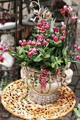 Kalanchoe in white stone vase on rusty garden table