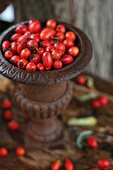 Rosehips in rusty iron vase