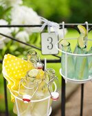Bottles of lemonade in wire basket hung on garden fence