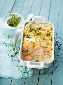 Lasagne mit Lachs