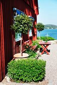Sitzplatz und Grünpflanzen auf Kiesplatz vor einem roten, schwedischen Holzhaus am Meer