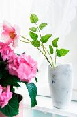 Pink flower in white glazed vase next to house plant with pink flowers