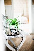 Tray of various ornaments and potted ornamental grass on white-painted table