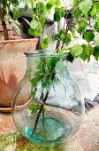 Glasballon-Vase mit Birkenzweigen