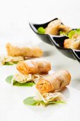 Spring rolls on sauerkraut salad